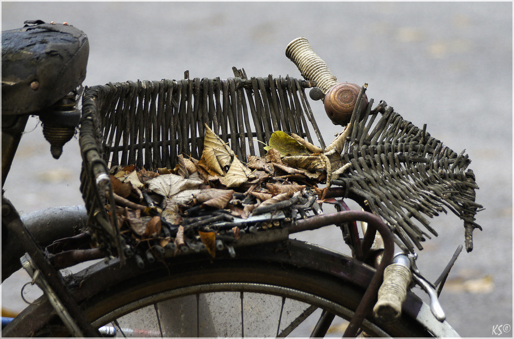 FahrradHerbstKorb