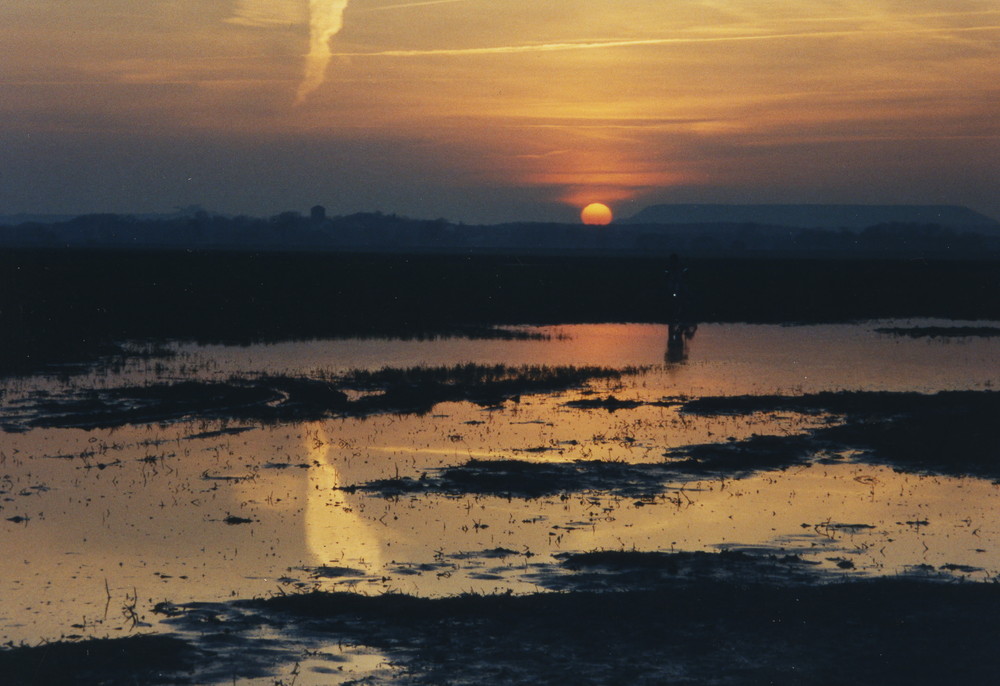 Fahrradlampe bei Sonnenuntergang ...