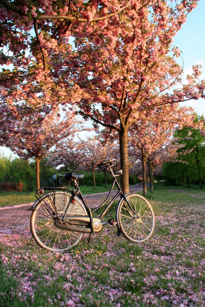 Fahrradpause