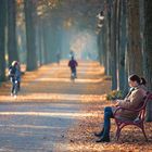 Fahrradpromenade herbstet