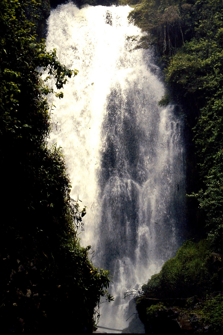 Fahrradreise durch Ecuador