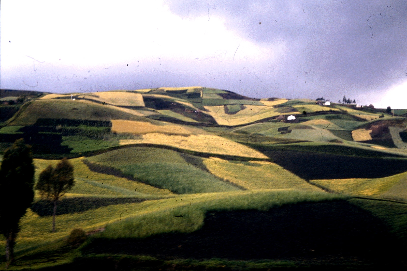 Fahrradreise durch Ecuador: Alles fleckig