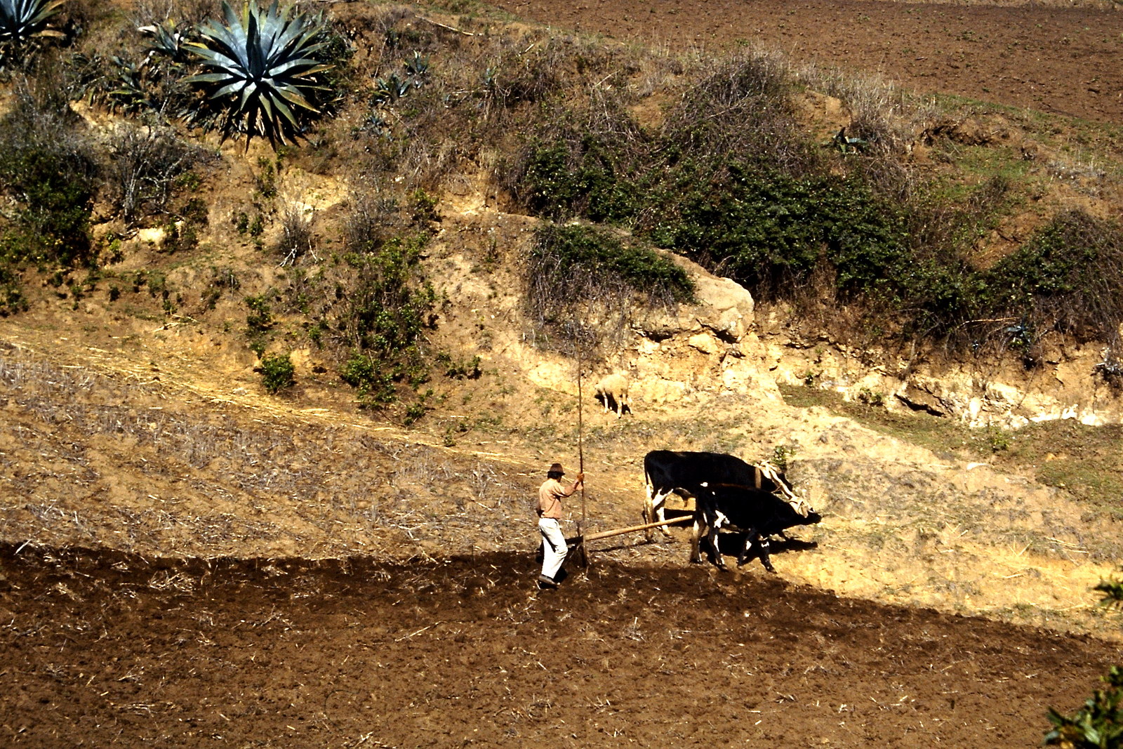 Fahrradreise durch Ecuador: Arbeit