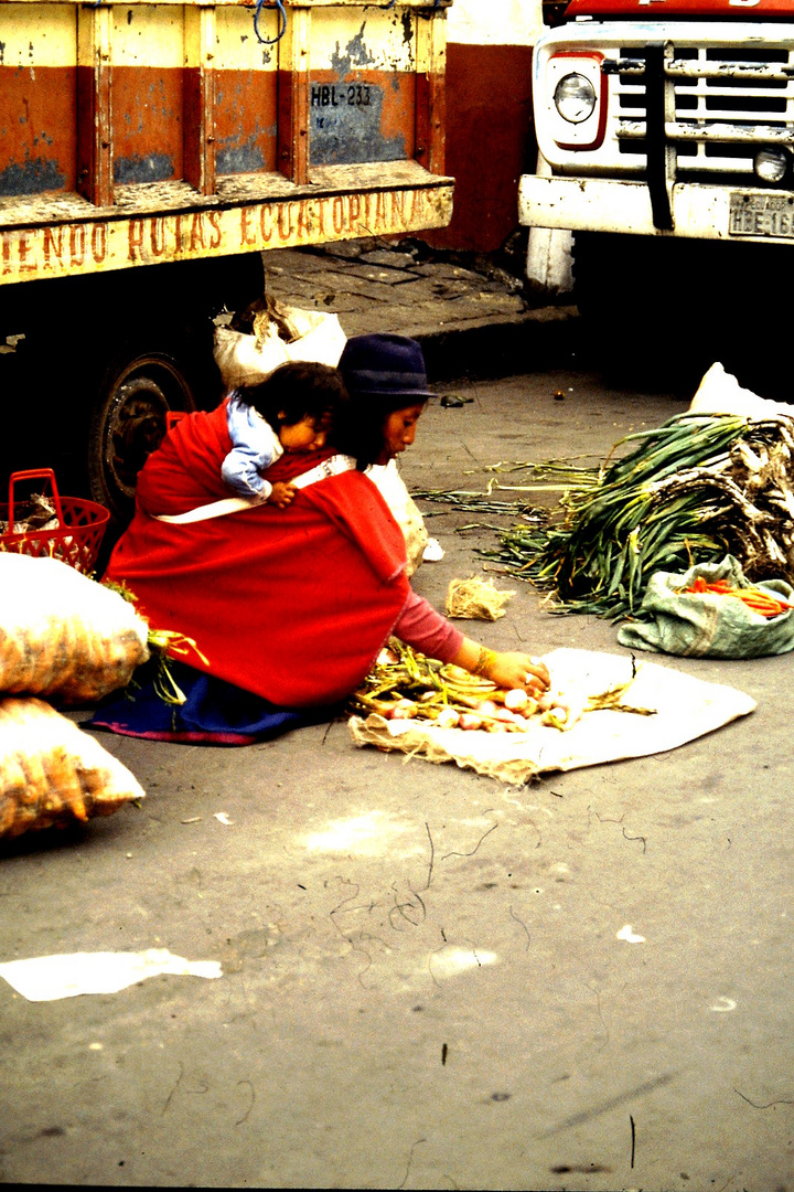 Fahrradreise durch Ecuador: Auf dem Markt