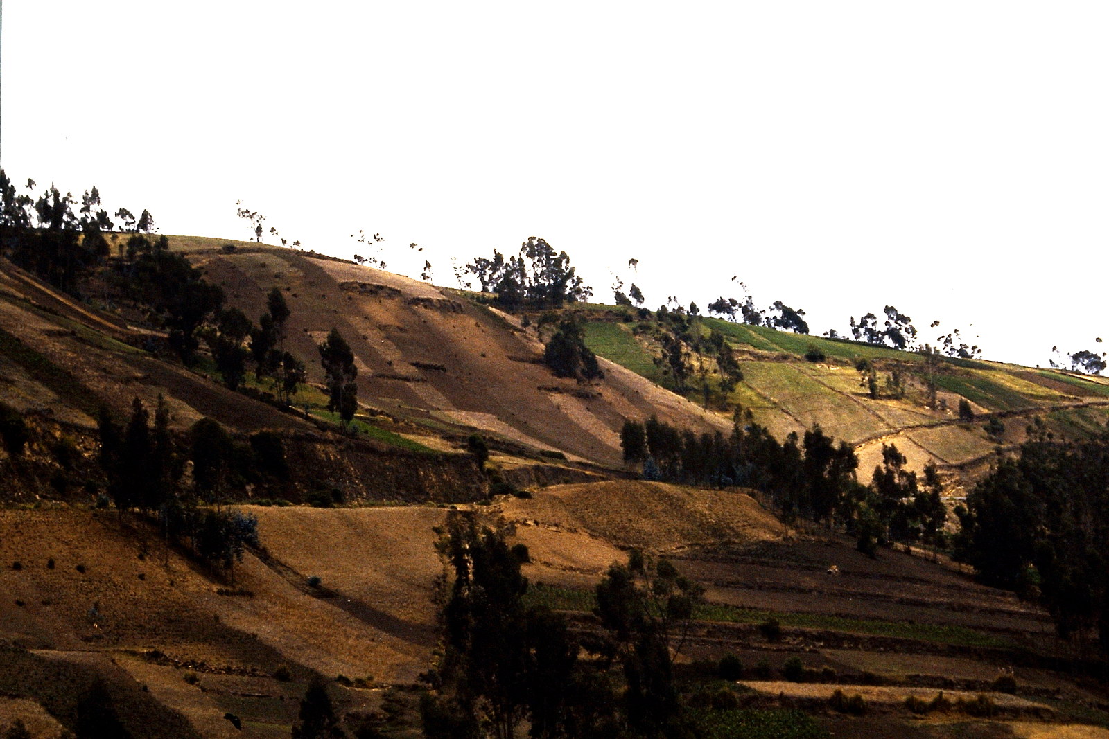 Fahrradreise durch Ecuador: Auf dem Weg nach...