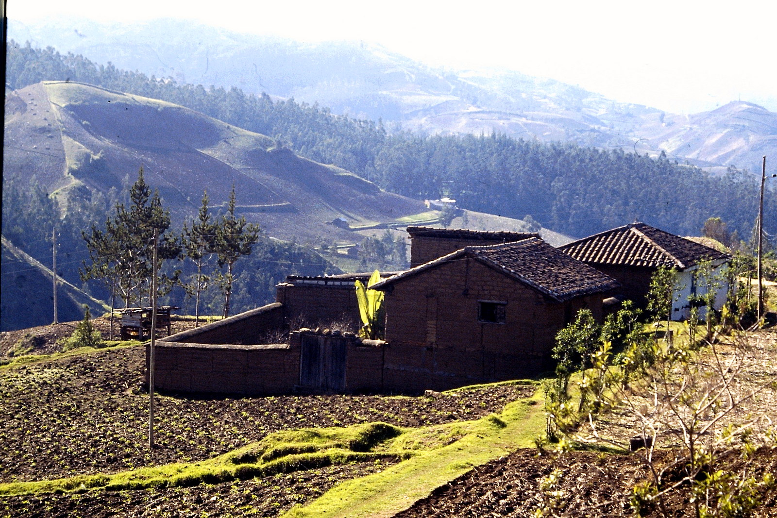 Fahrradreise durch Ecuador: Bauernhof