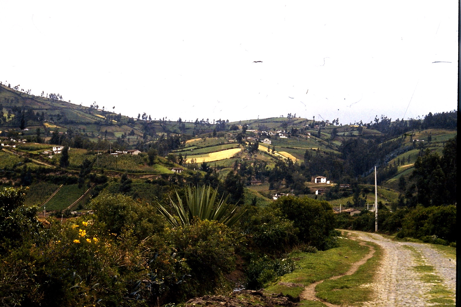 Fahrradreise durch Ecuador