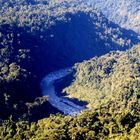 Fahrradreise durch Ecuador; Endlich Urwald