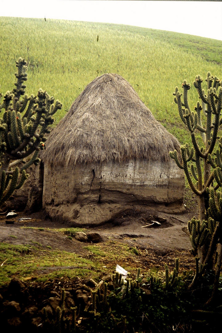 Fahrradreise durch Ecuador: Hier leben Menschen