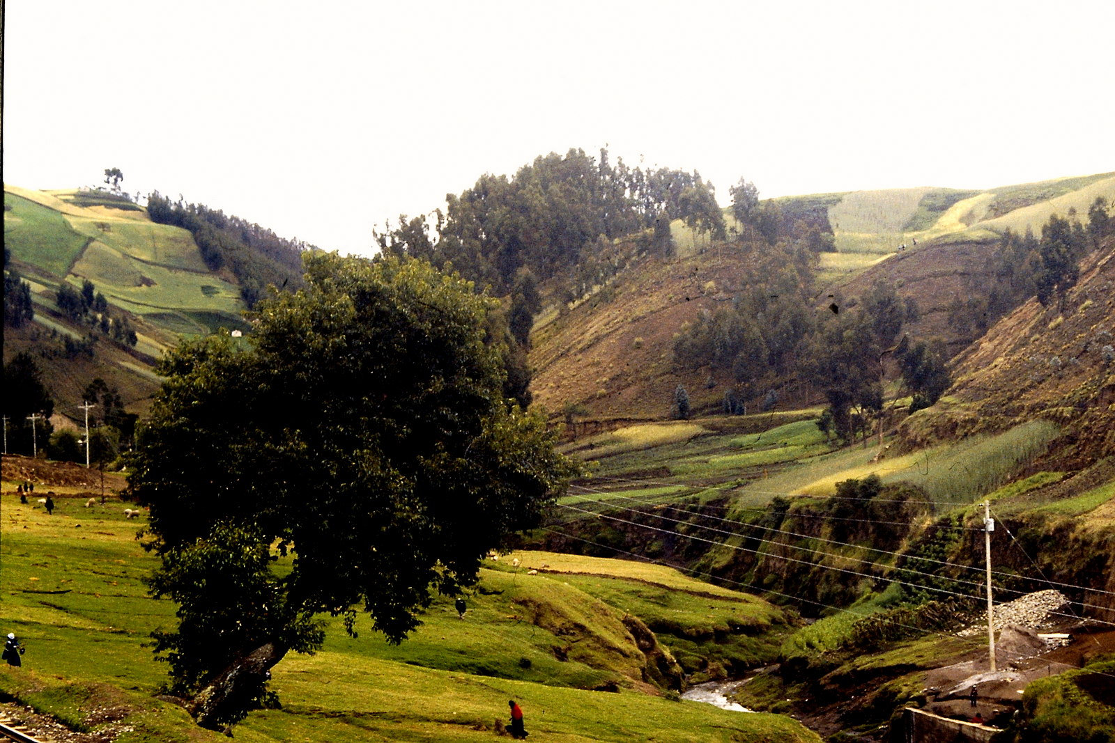 Fahrradreise durch Ecuador: Hobbitland