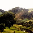 Fahrradreise durch Ecuador: Hobbitland