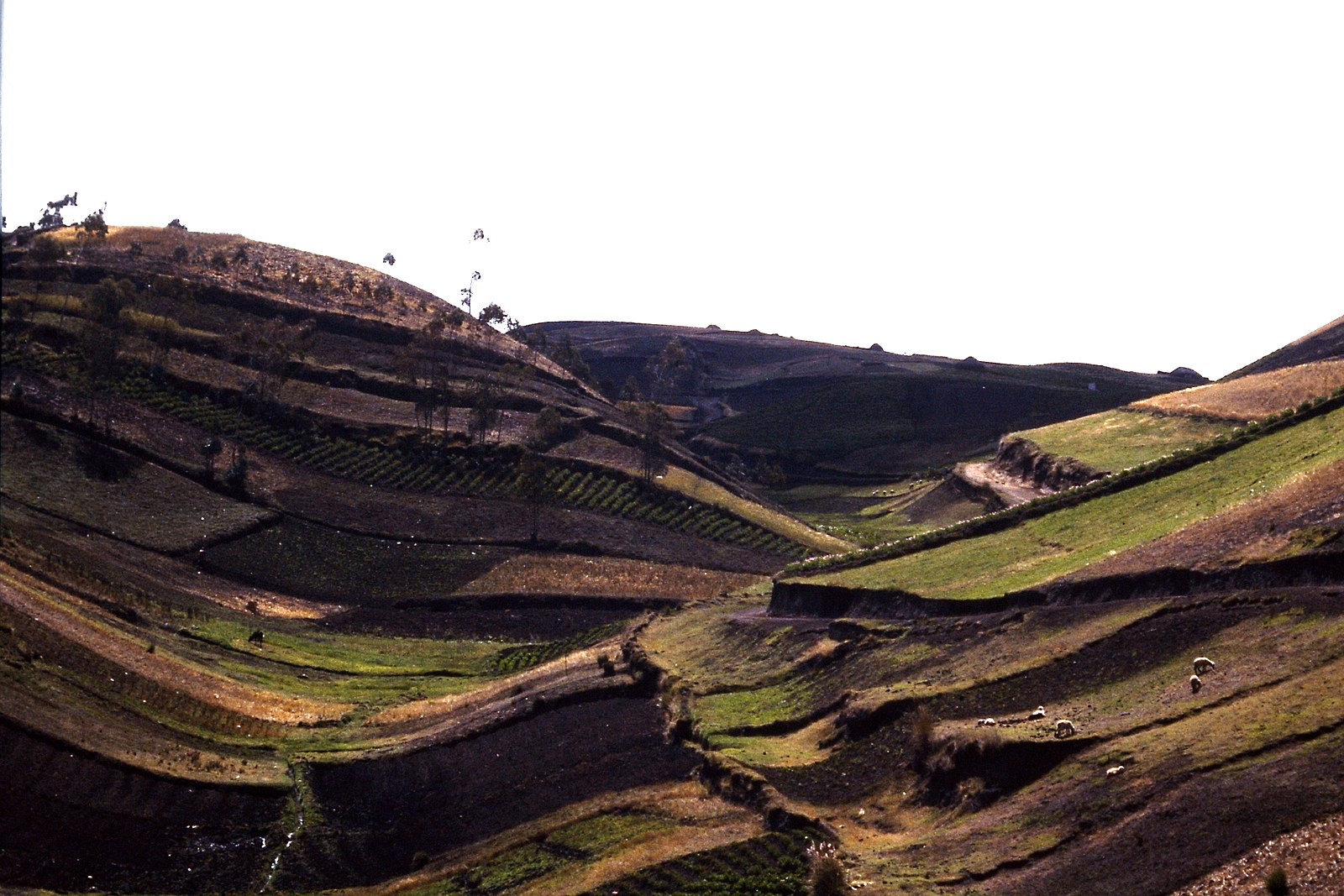 Fahrradreise durch Ecuador: Hochland