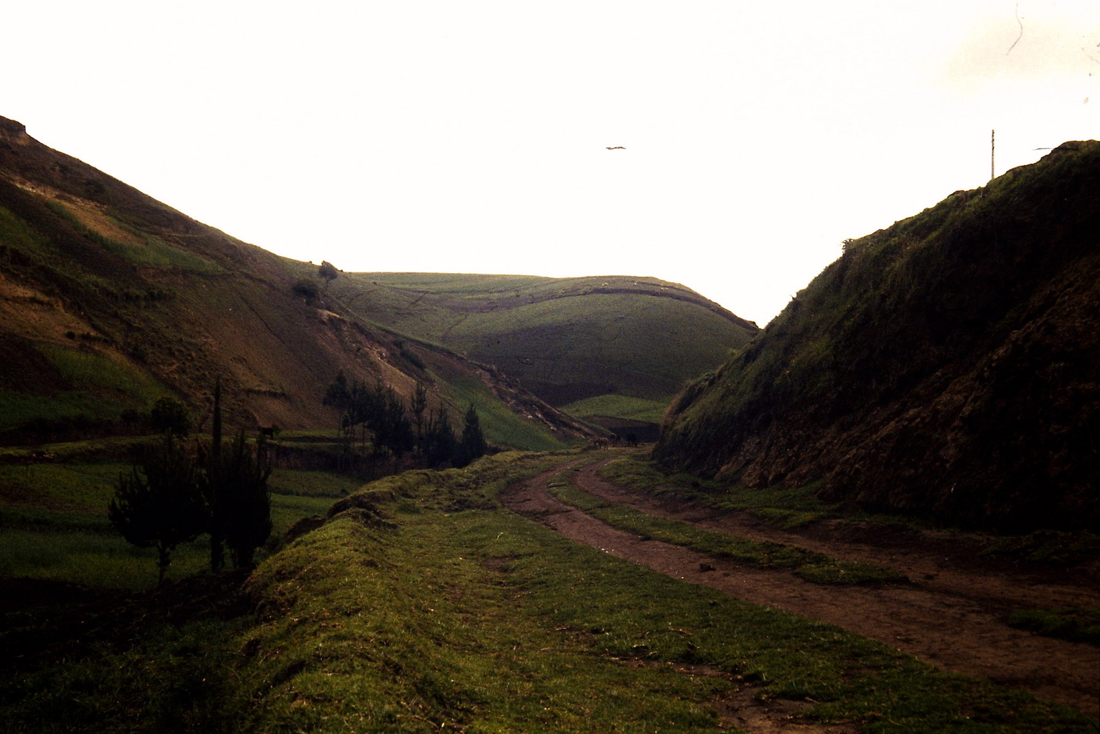 Fahrradreise durch Ecuador: Mein Weg