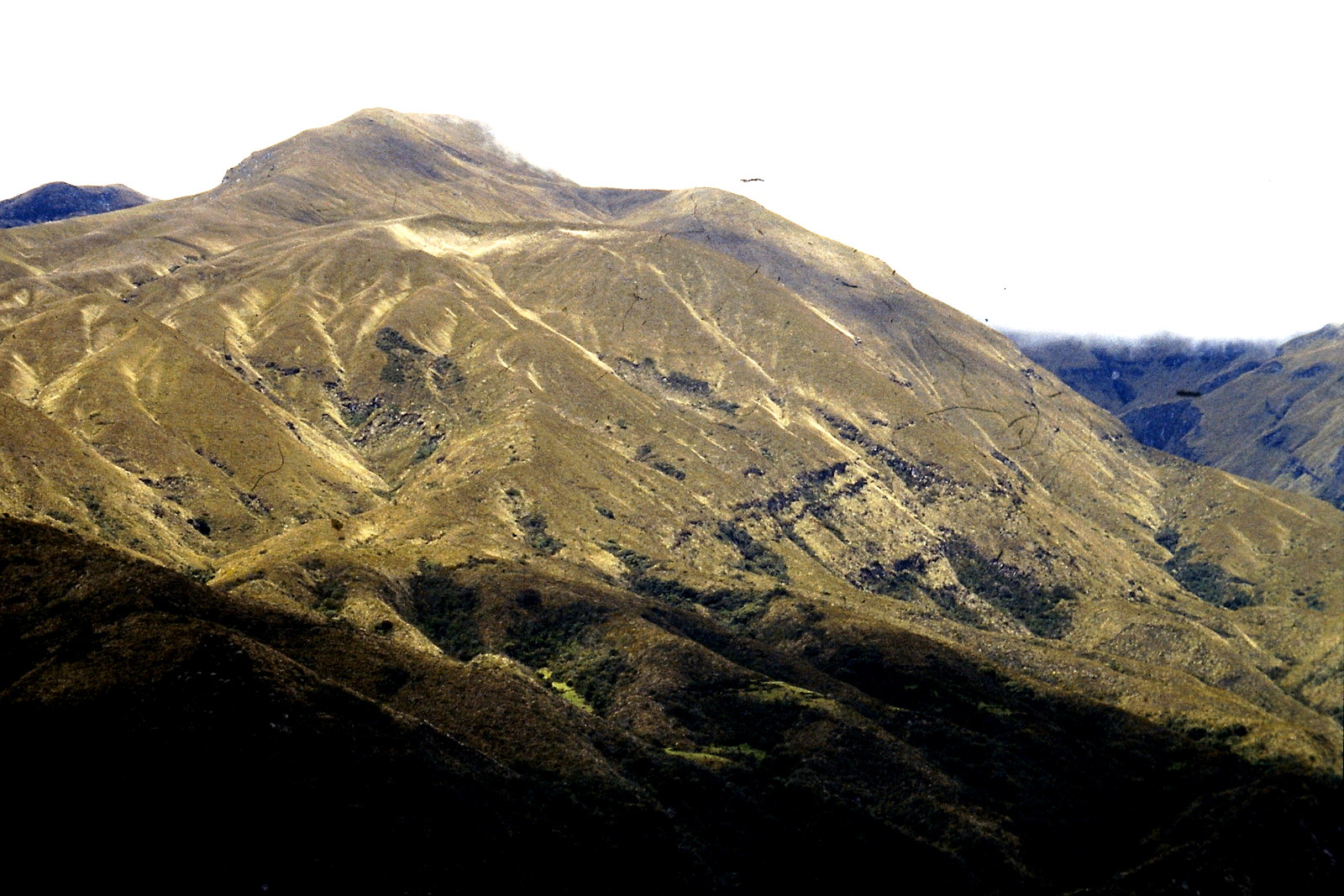 Fahrradreise durch Ecuador: Natur