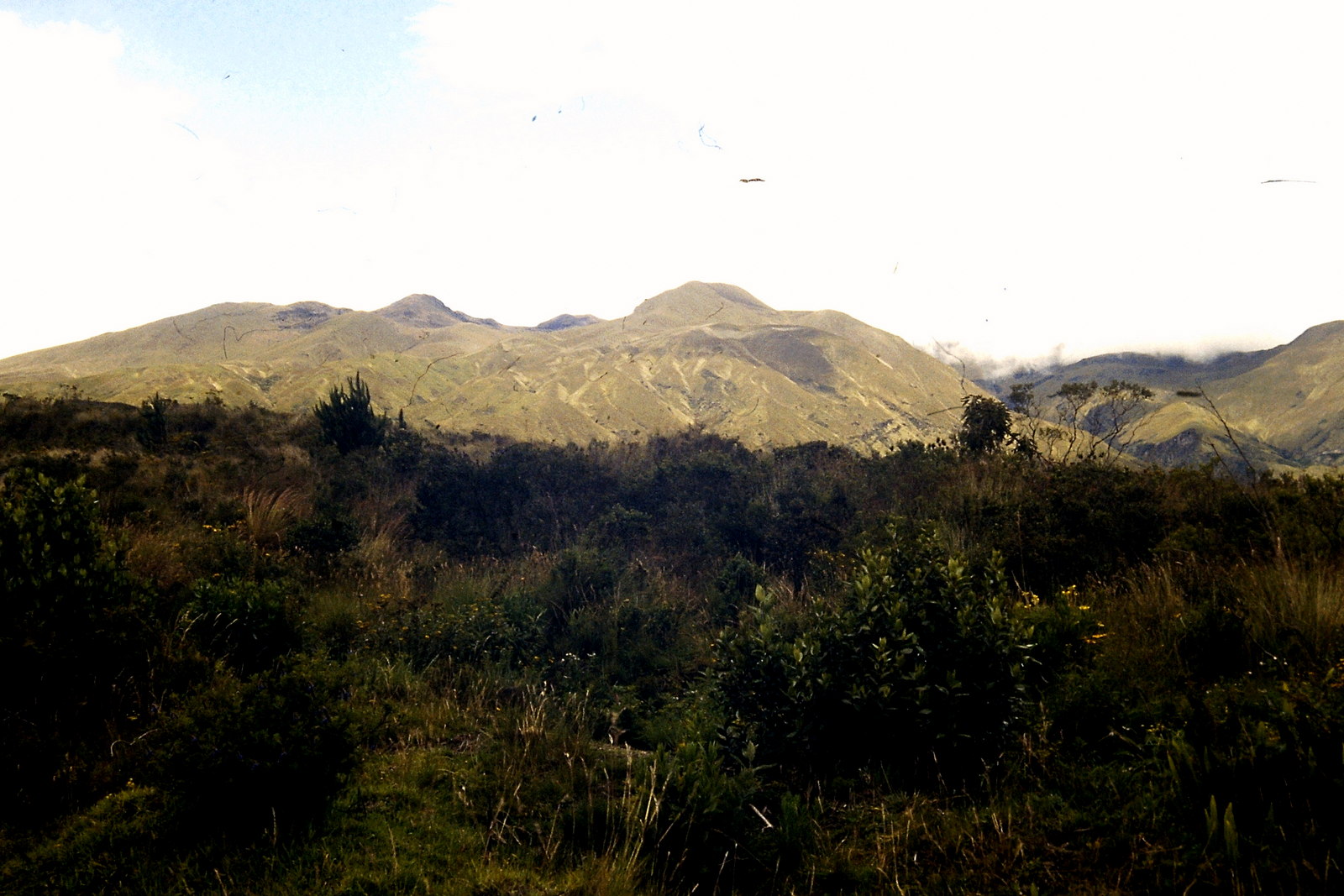 Fahrradreise durch Ecuador: Natur