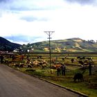 Fahrradreise durch Ecuador: Straßenleben