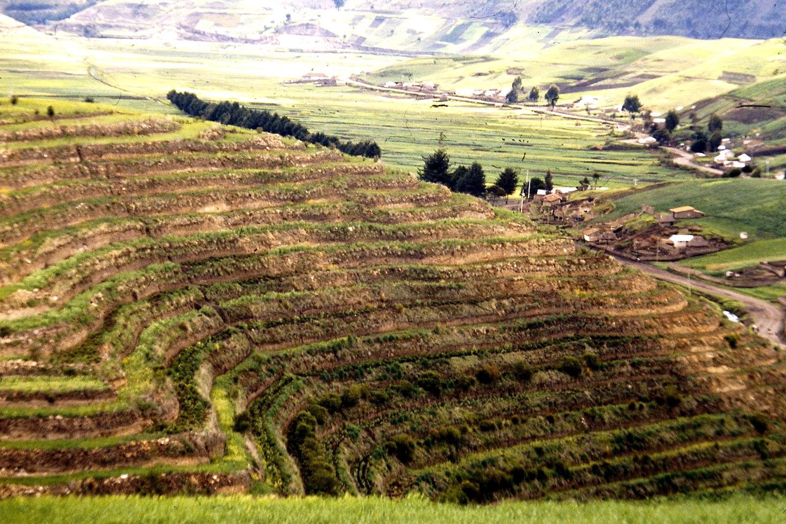 Fahrradreise durch Ecuador: Terassenfelder