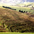 Fahrradreise durch Ecuador: Terassenfelder