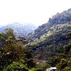 Fahrradreise durch Ecuador: Unter dem Nebelwald