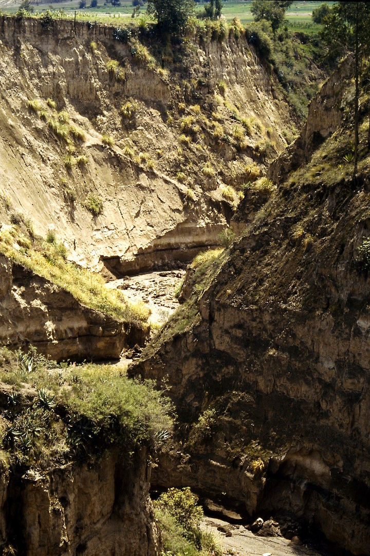 Fahrradreise durch Ecuador:Flußtal