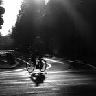 Fahrrad_Schatten