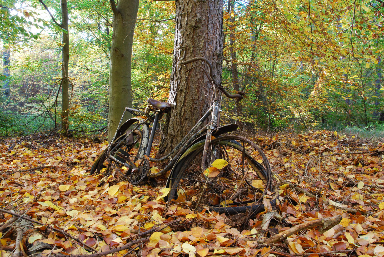 Fahrradschicksal