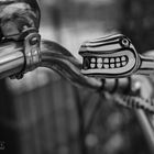 Fahrradschlossschlange