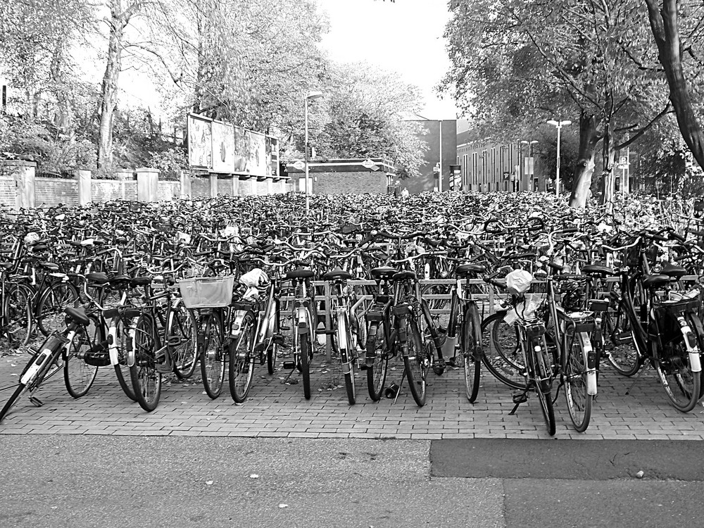 Fahrradstadt Münster