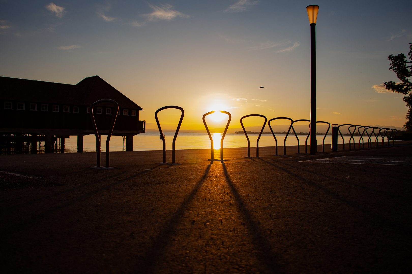 Fahrradständer im Sonnenaufgang