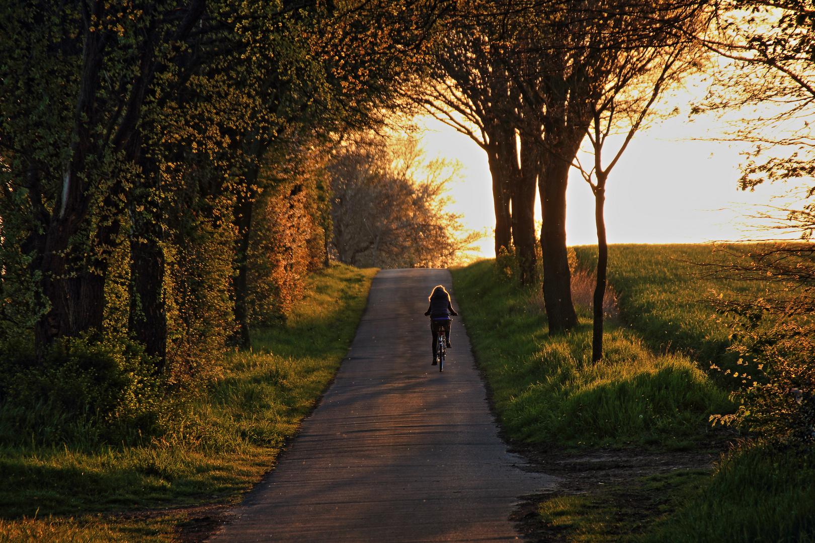 Fahrradtour am Abend