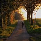 Fahrradtour am Abend