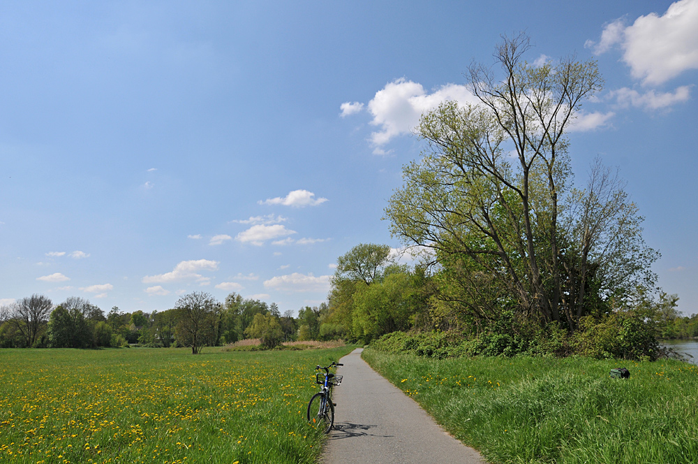 Fahrradtour am Main: Durch die Frühlingswiesen