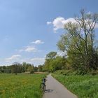 Fahrradtour am Main: Durch die Frühlingswiesen