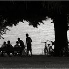 Fahrradtour am Rhein