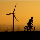 Fahrradtour auf der Halde