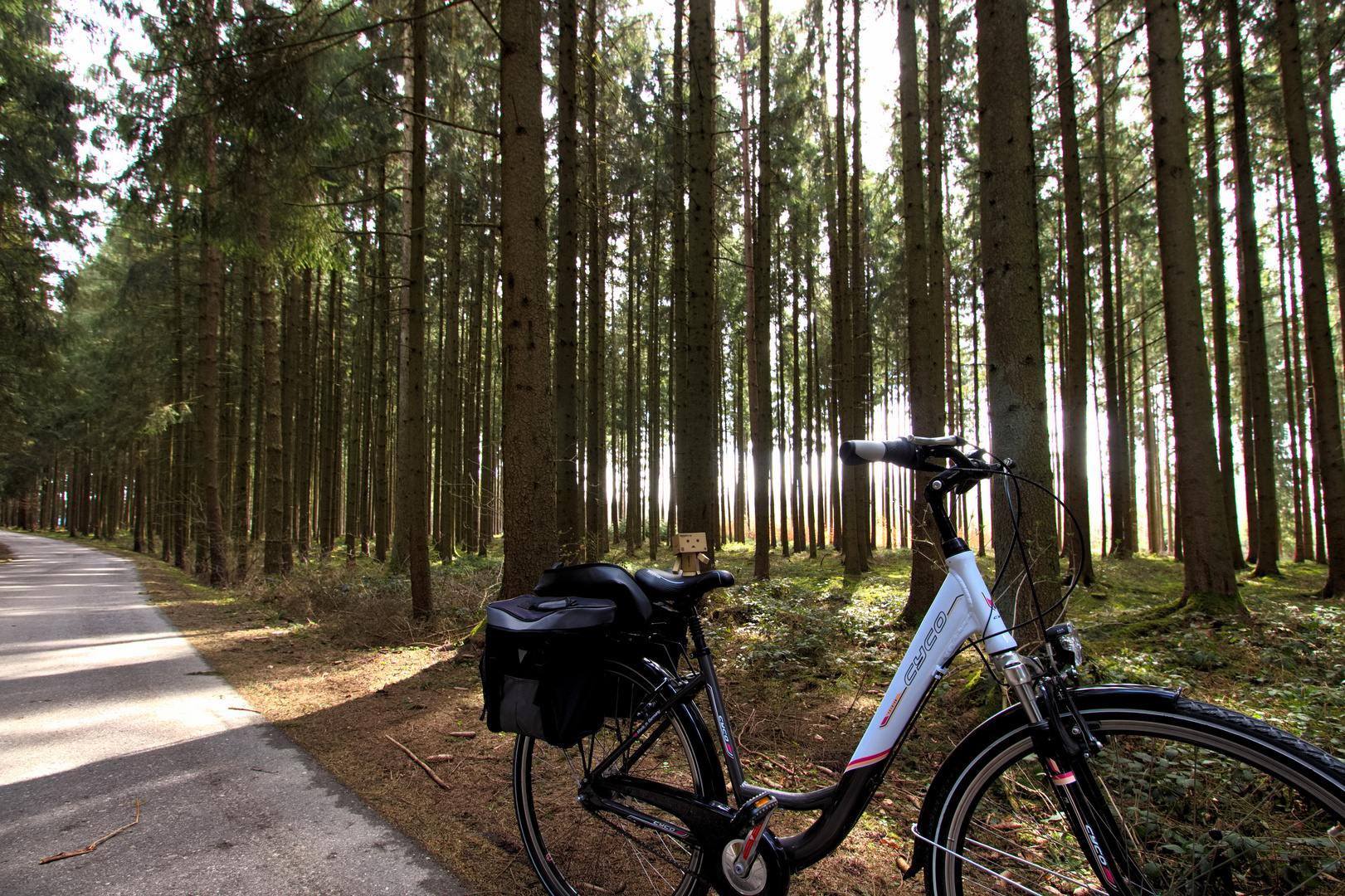 Fahrradtour durch den Wald