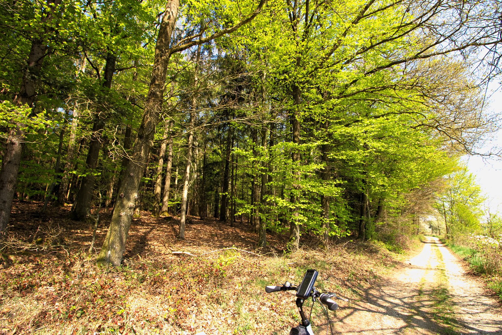 Fahrradtour durch den Wald