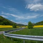 Fahrradtour mit Schwung