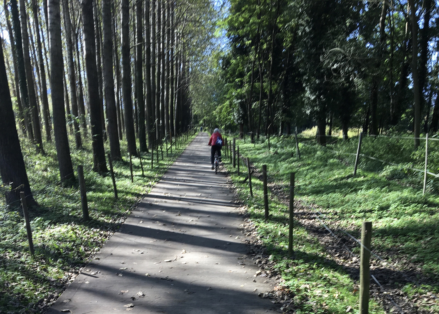 Fahrradtour von Tenero auf dem Weg nach Bellinzona, Oktober 2019