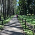 Fahrradtour von Tenero auf dem Weg nach Bellinzona, Oktober 2019