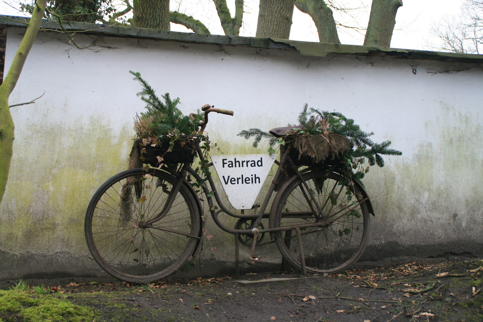 Fahrradverleih