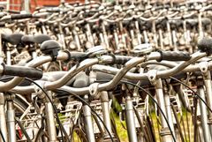 Fahrradverleih für Touristen...