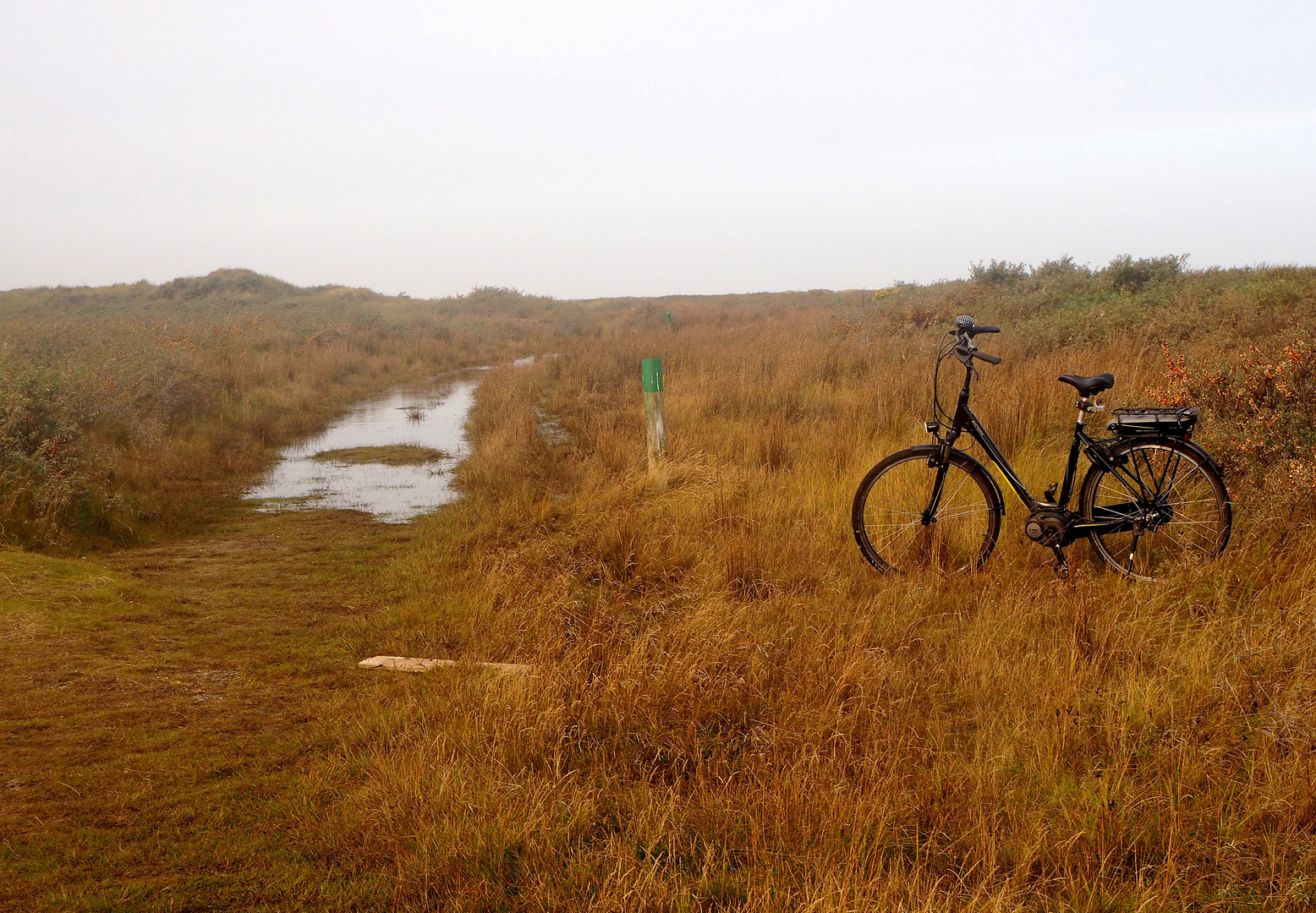 Fahrradweg?