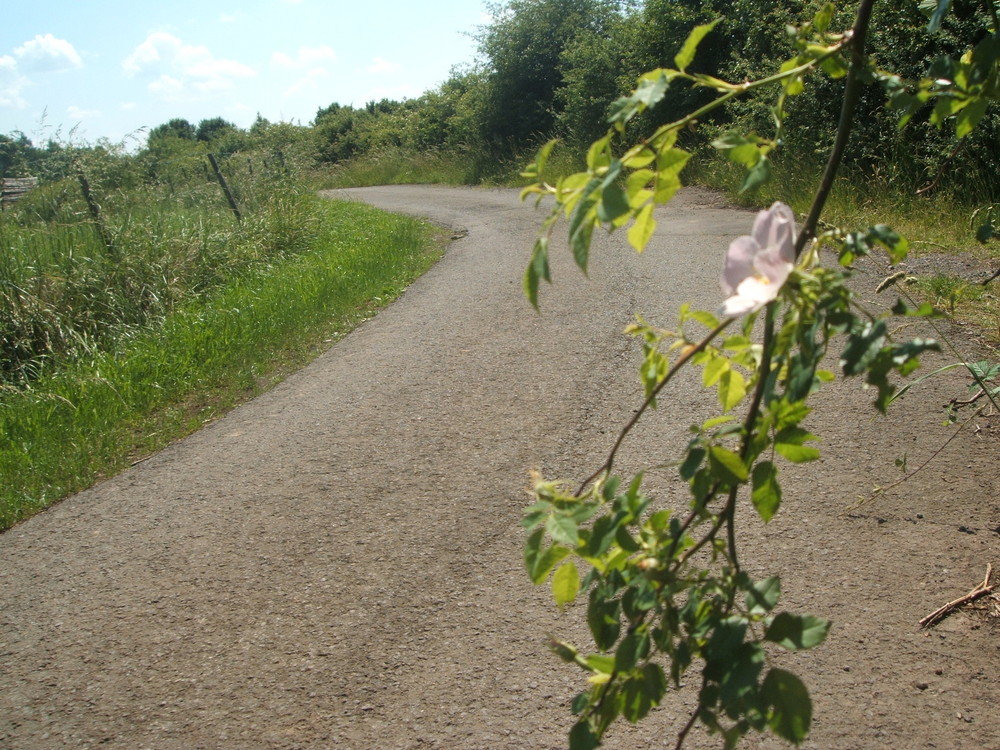 Fahrradweg