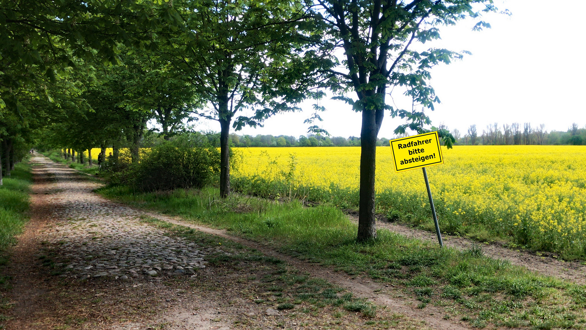 Fahrradweg Brandenburg