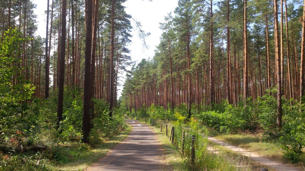 Fahrradweg