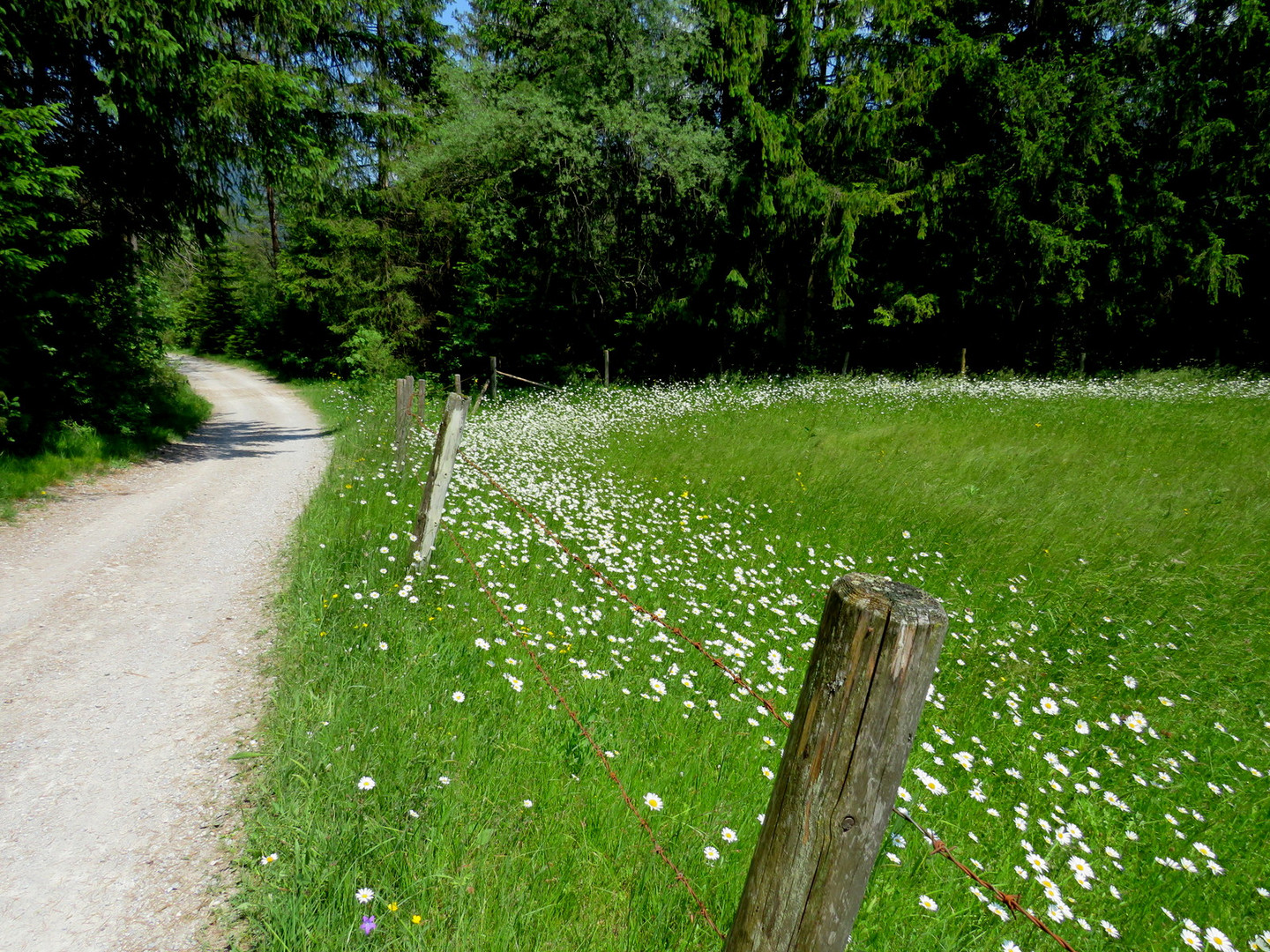 Fahrradweg