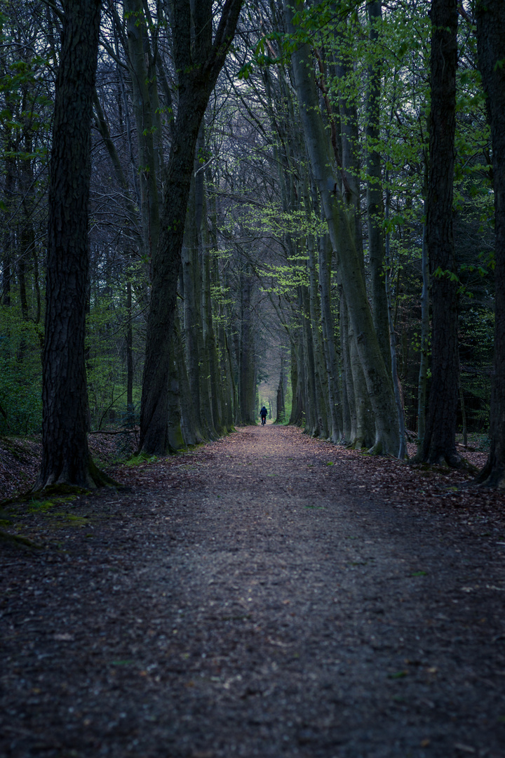 Fahrradweg