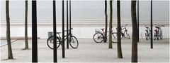 Fahrräder in Bonn
