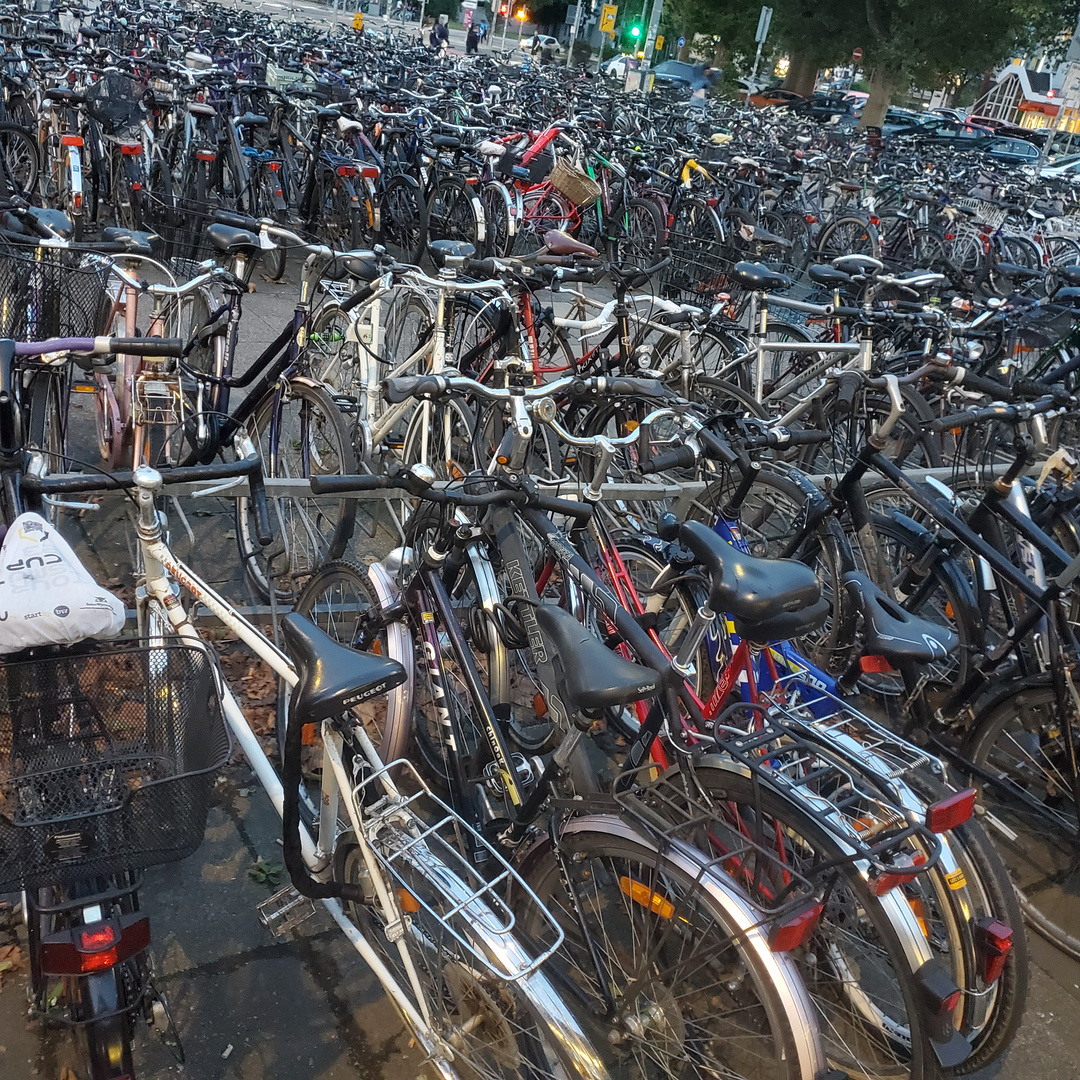Fahrrädern am Bahnhof Heidelberg 